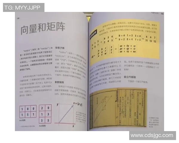 足球明星与古代蚂蚁的奇妙结合探索他们在历史与现代的交汇点