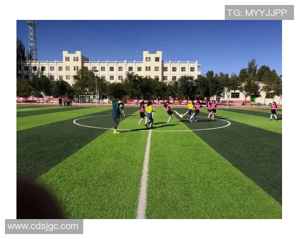 探索拖沙文足球的魅力与发展历程，感受这项运动的独特风采与激情