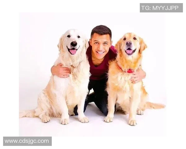 足球明星夫妇甜蜜瞬间大盘点幸福生活与爱情故事全记录