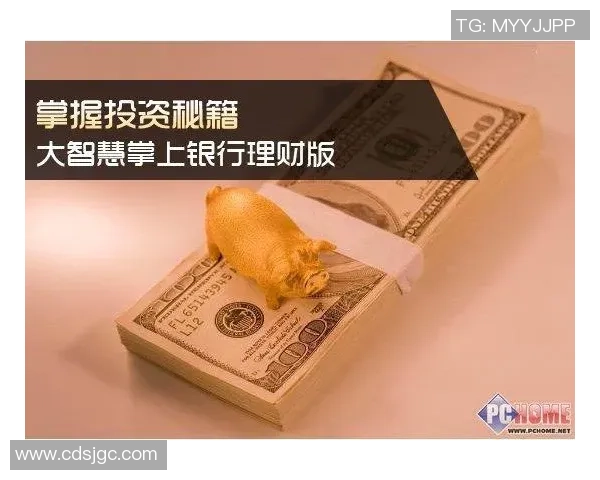 足球明星理财秘籍揭秘如何让财富增值与风险管理并重