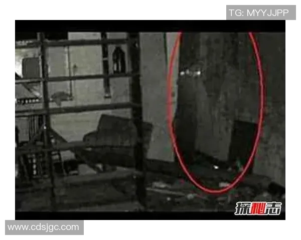 足球明星被套事件揭秘背后真相与影响分析